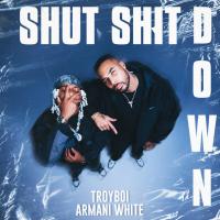 TroyBoi, Armani White - Shut Shit Down