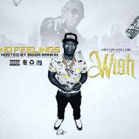 Wish Da Great - No Feelings WRNR hosted by Bigga Rankin