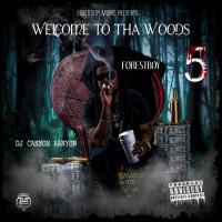 LIL BO WELCOME TO THE WOODS 5