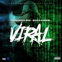 Thorobred Boo - Viral