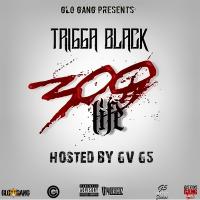 Trigga Black - 300 Life