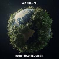 Wiz Khalifa - Hide It (feat. Don Toliver)