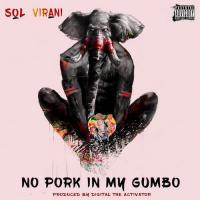 Sol Virani - No Pork In My Gumbo