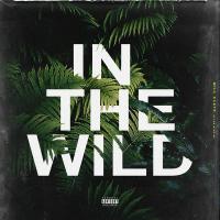 Will Claye - In The Wild