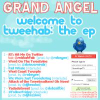 Welcome To Tweehab EP by Grand Angel