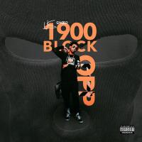 LK Snoop - 1900 Block Opp