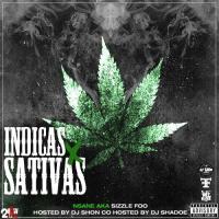 NSane Aka Sizzle Foo - Indicas Sativas