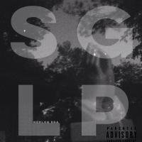 NEDLOG ERA  - SGLP