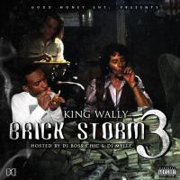 Brick Storm 3