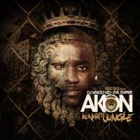Akon - Konkrete Jungle (Hosted By DJ Whoo Kid & Evil Empire)