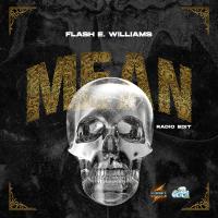 Flash E Williams - Mean