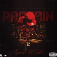 Propain-Against All Odds
