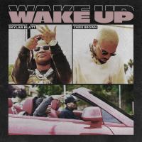 Skylar Blatt - Wake Up (feat. Chris Brown)