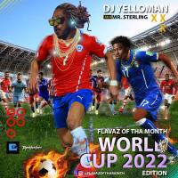 DJ Yelloman aka Mr. Sterling - World Cup Mixtape 2022