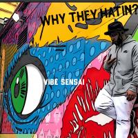 Vibe Sensai @VibeSensai - Why They hatin