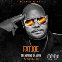 THE MAKING OF A DON VOL 5 PRESENTED BY FAT JOE