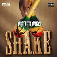 Mulah Davinci - Shake