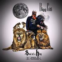 Bigg Citi - Soul Of A King