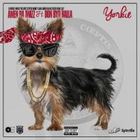 Amen Ra Twizz - Yorkie