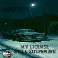 GangTrippy Amp - MyLicenseStillSuspended