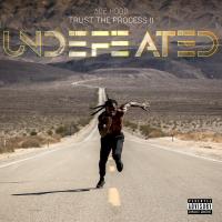 Ace Hood - Trust the Process II Undefeated