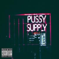 Slong Danglr - pussySUPPLY EP