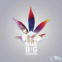 Young Troubled Minds - One Big Session