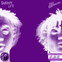 SremmLife (Chopped & Screwed By DJ SuperemeGoddies101) 