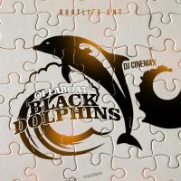 Black Dolphins