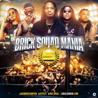 Brick Squad - Brick Squad Mania 5