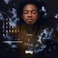 Skooly - Dont You Ever Forget Me 3