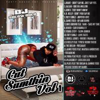 DJ SOLOW DOLO -CUT SUMTHIN VOL.1