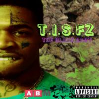 Will Maticz T.I.S.F 2 Theblackbart