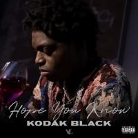 Kodak Black - Hope You Know