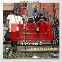 Troy Ave Presents - BSB Vol 5