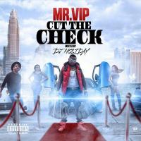 Mr VIP - Cut The Check