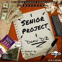 Damn Dz - Senior Project