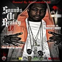 Sounds Of Reality Vol18