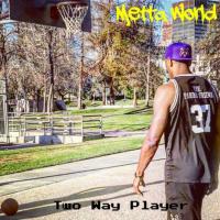 Metta World Peace - Two Way Player