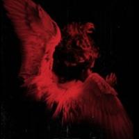 Angel @angel_4pillars - Angel’s Interlude