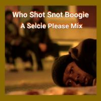 Who Shot Snot Boogie - A Selcie Please Mix