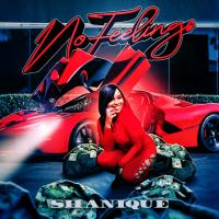 SHANIQE- NO FEELINGS