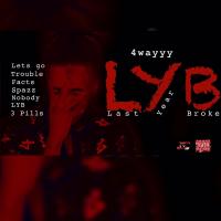 L.Y.B (Last Year Broke)
