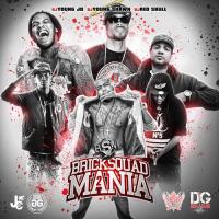 DG J Mike  Various Artists - Bricksquad Mania 2