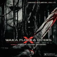 Waka Flocka - Waka Flocka Myers 10