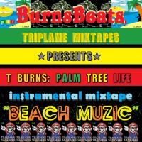 Beach Muzic: The Instrumixtape