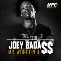 Joey Bada - Mr Wonderful