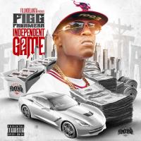 Figg Panamera-The Independent Game 2