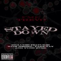 STAYED DOWN (INCLUDES FT WITH MESIKO,PARKWAY & YUNG RUDE)