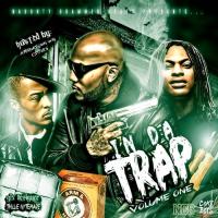 Naughty Grammer Beats & Coke Boys South Presents - In Da Trap Vol.1